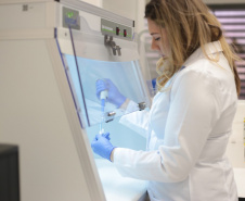 Com apoio do Estado, Impacta Campos Gerais 2025 impulsiona setor produtivo regional