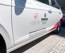 Avanço histórico nas políticas para mulheres marca o ano de 2025 no Paraná