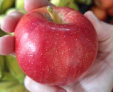 SEED - Orgânicos ganham espaço na alimentação escolar e chegam a 5 mil toneladas no Paraná