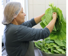 SEED - Orgânicos ganham espaço na alimentação escolar e chegam a 5 mil toneladas no Paraná
