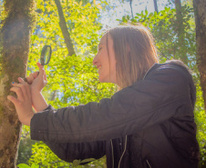 Com apoio do Estado, Impacta Campos Gerais 2025 impulsiona setor produtivo regional