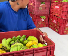 SEED - Orgânicos ganham espaço na alimentação escolar e chegam a 5 mil toneladas no Paraná