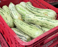 SEED - Orgânicos ganham espaço na alimentação escolar e chegam a 5 mil toneladas no Paraná