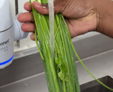 SEED - Orgânicos ganham espaço na alimentação escolar e chegam a 5 mil toneladas no Paraná