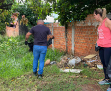 Vai viajar? Sesa alerta para os cuidados com a dengue em casa e fora dela
