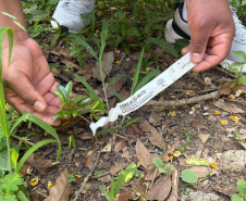 Alunos criam “Canteiro de Africanidades” para ensinar história e cultura afro-brasileira
