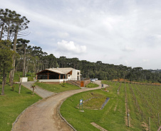 Turismo Rural no Paraná pesquisa mostra setor em expansão e perfil qualificado de empreendedores