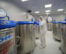 Paraná será responsável pelo banco brasileiro de antígenos e vacinas contra febre aftosa