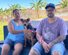 Mutirão do CastraPet vai beneficiar cães e gatos de 20 municípios do Paraná em dezembro