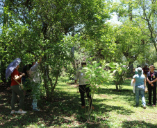 Quando a colheita encontra a mesa: Cestas Solidárias celebra resultados com encontro anual