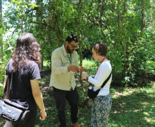 Quando a colheita encontra a mesa: Cestas Solidárias celebra resultados com encontro anual