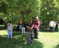 Quando a colheita encontra a mesa: Cestas Solidárias celebra resultados com encontro anual