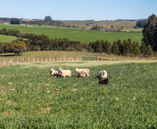 Municípios avançam em inovação com novos investimentos e programas estaduais em 2025