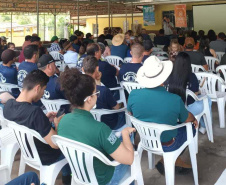 Com ações do IDR-Paraná, produção de búfalos deve ter salto de 50% na renda dos criadores