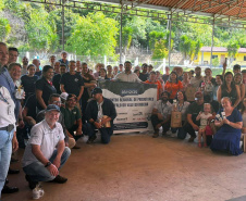 Com ações do IDR-Paraná, produção de búfalos deve ter salto de 50% na renda dos criadores