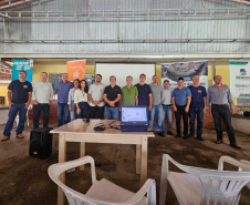 Com ações do IDR-Paraná, produção de búfalos deve ter salto de 50% na renda dos criadores