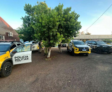 PCPR prende 56 pessoas durante megaoperação contra organização criminosa no Paraná