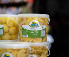 PRODUÇÃO COGUMELOS