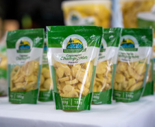 PRODUÇÃO COGUMELOS