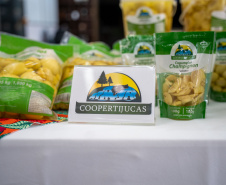 PRODUÇÃO COGUMELOS