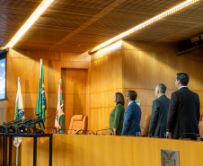 Governador - Ministério Público