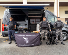 Câmeras com IA igual a Nova York: entenda como funciona a nova fase do Olho Vivo