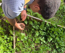 Alunos criam “Canteiro de Africanidades” para ensinar história e cultura afro-brasileira
