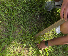 Alunos criam “Canteiro de Africanidades” para ensinar história e cultura afro-brasileira