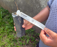 Alunos criam “Canteiro de Africanidades” para ensinar história e cultura afro-brasileira