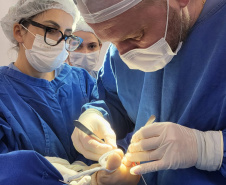 Programas estratégicos da Sesa reforçam a regionalização e ampliam o acesso à saúde no Paraná