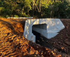 Paraná acelera transferência de tecnologia para impulsionar o setor produtivo