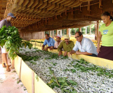 Governador sanciona reestruturação da carreira dos servidores do IDR-Paraná