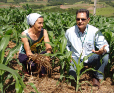 Governador sanciona reestruturação da carreira dos servidores do IDR-Paraná