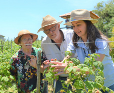 Governador sanciona reestruturação da carreira dos servidores do IDR-Paraná