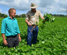 Governador sanciona reestruturação da carreira dos servidores do IDR-Paraná