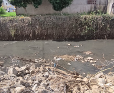 SEED - Projeto escolar mapeia impactos e planeja recuperação de rio na RMC