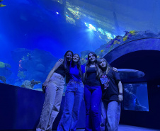 Alunos de Rio Bonito do Iguaçu encerram ano letivo com viagem especial a Foz do Iguaçu