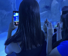 Alunos de Rio Bonito do Iguaçu encerram ano letivo com viagem especial a Foz do Iguaçu