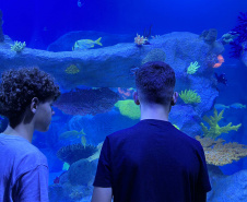 Alunos de Rio Bonito do Iguaçu encerram ano letivo com viagem especial a Foz do Iguaçu