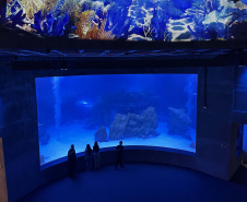 Alunos de Rio Bonito do Iguaçu encerram ano letivo com viagem especial a Foz do Iguaçu