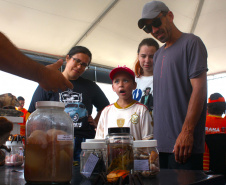 Universidades ampliam presença no Verão Maior Paraná com ações educativas no Litoral