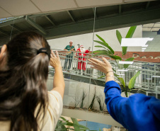 Natal Solidário: Papai Noel recebe crianças até quinta-feira no Palácio Taguaré