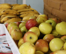 SEED - Orgânicos ganham espaço na alimentação escolar e chegam a 5 mil toneladas no Paraná