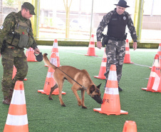FUNDAÇÃO ARAUCÁRIA - Kits Segurança