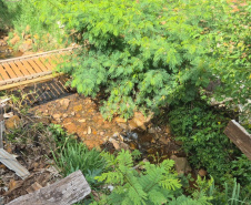 IAT - Operação em Laranjeiras do Sul