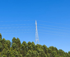Copel conclui 151,5 km de novas linhas de alta tensão no Paraná
