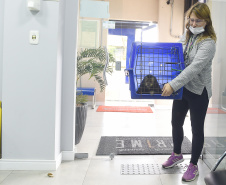 Governo do Estado prestou assistência a 4.552 animais silvestres entre janeiro e novembro de 2025.