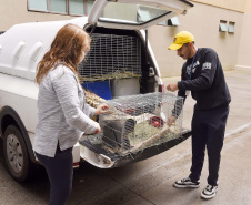 Instituto Água e Terra formalizou convênio com a Prefeitura de Curitiba que estabelece ações institucionais conjuntas para o atendimento à fauna silvestre vitimada na Região Metropolitana de Curitiba