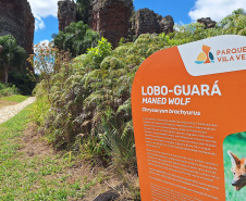 RECESSO - SETU - Paraná fortalece infraestrutura turística em 2025 com obras, sinalização e novos equipamentos