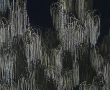 SEEC AGENDA CULTURAL